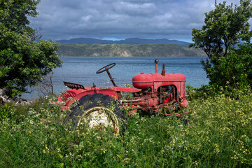 Vintage tractor. Classic tractor. Oldtimer at Scoching Bay Wellington New Zealand