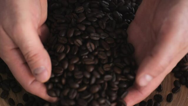 Roasted brown grains falling down on pile arabica super slow motion.Closeup full hands of fragrant coffee beans pouring on heap fresh harvest. 4K
