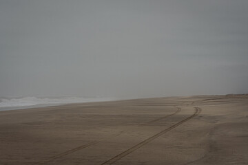 Fototapeta na wymiar paisaje de una playa con neblina