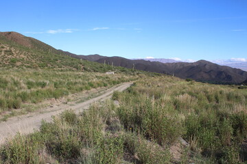Beautiful mountain road in green landscape in northwest Argentina