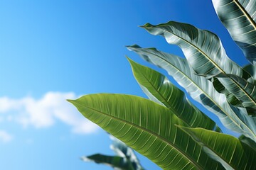 Vertical Closeup View of a banana leaf under the blue sky, generative IA