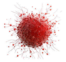 Red Virus with Spike Proteins Isolated on Transparent Background, Detailed Medical Illustration