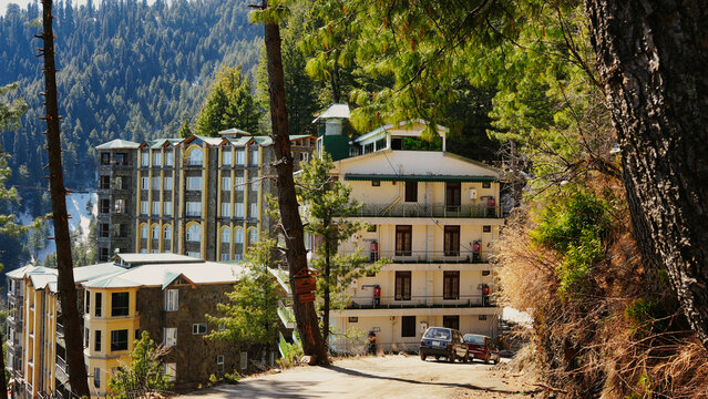 Forest-fringed buildings with parked cars on a sunny mountain road