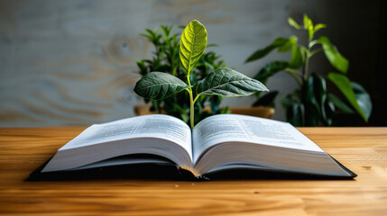 Desk with Plant Sprouting from Open Book