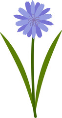 Fototapeta na wymiar blue flower