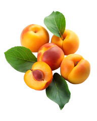 Peach fruit isolated on transparent background