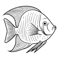 Illustration of a fish on a white background.