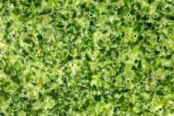 Foto auf Glas General stock - frozen creamed spinach © Richard