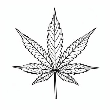 Vector illustration of cannabis plant leaf.