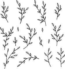 Collection with wondrous black-and-white branches on white background. Vector image.