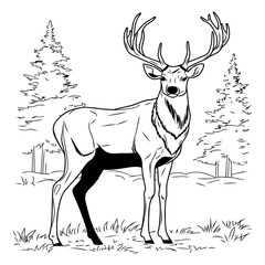 Deer in the forest. Black and white vector illustration for coloring book.