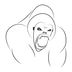 the gorilla vector illustration design