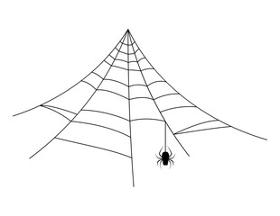 spider web, halloween spiderweb and spider hanging