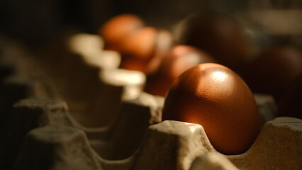Chicken eggs placed in a stall With the morning light in the kitchen