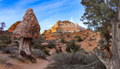 photograph of handcrafted gnome home yard art displayed in Bryce Canyon National Park Utah