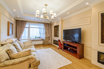 standard interior apartment. living room with sofa