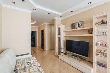 standard interior apartment. living room with sofa