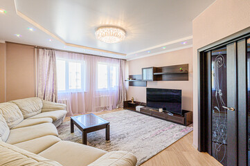 standard interior apartment. living room with sofa