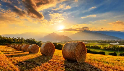 Schilderijen op glas Row of hay bales on a golden beautiful landscape at sunset or sunrise. Agricultural field with hills and sky with clouds in the background. Generative Ai. © Alberto Masnovo