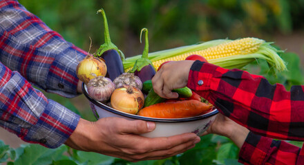 a farmer man and his son collect vegetables in a bowl. Selective focus
