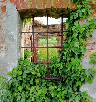 Rudere Cesena campagna casolare