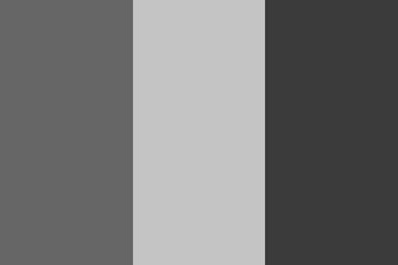 Romania flag - greyscale monochrome vector illustration. Flag in black and white