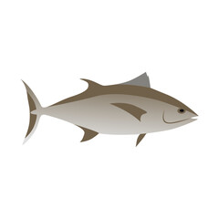 a type of tuna fish