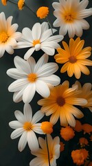 white and yellow flowers on a dark background
