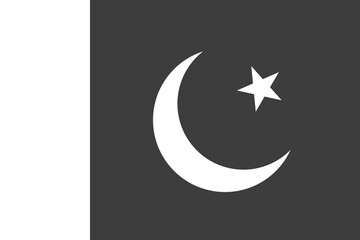 Pakistan flag - greyscale monochrome vector illustration. Flag in black and white