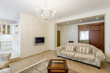 standard interior apartment. living room with sofa