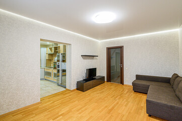 standard interior apartment. living room with sofa