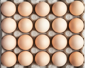 Fresh chicken eggs in a paper tray. Pattern. Close-up, top view.