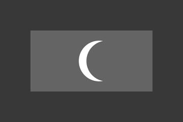 Maldives flag - greyscale monochrome vector illustration. Flag in black and white