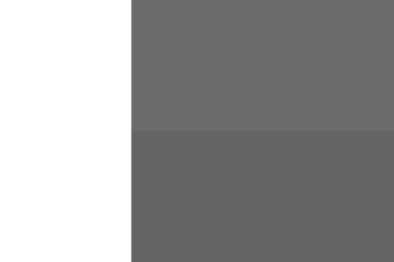 Madagascar flag - greyscale monochrome vector illustration. Flag in black and white