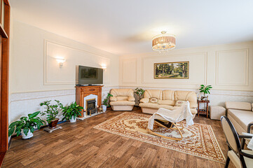 standard interior apartment. living room with sofa