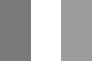 Ireland flag - greyscale monochrome vector illustration. Flag in black and white