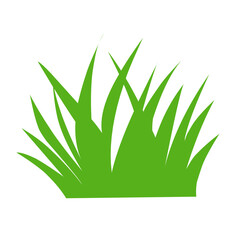 Spring green grass isolated on white background.