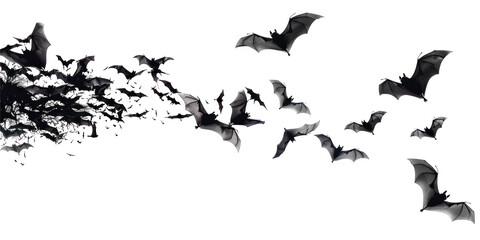 flying flock of bats isolated on transparent png.
