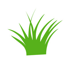 Spring green grass isolated on white background.