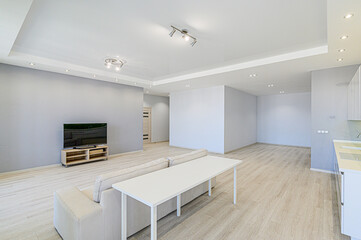 standard interior apartment. living room with sofa