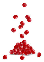Fresh red cranberries falling onto pile against white background