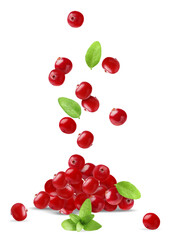 Fresh red cranberries and green leaves falling onto pile against white background