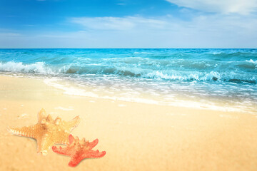 Fototapeta na wymiar Beautiful starfishes on sandy beach near sea