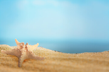 Starfish on sandy beach near sea, space for text