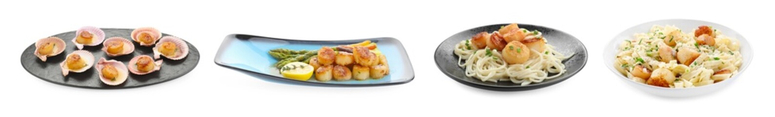 Set of different dishes with scallops isolated on white