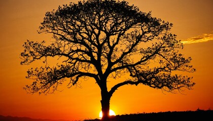 The sun sets directly behind the silhouette of an expansive tree, painting the horizon in shades of yellow and orange