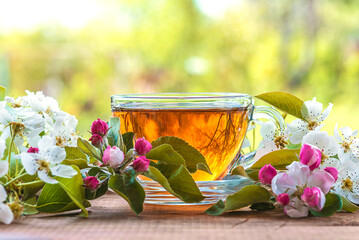 Spring tea time concept; glass, transporent cup of herbal tea and apple and pear bloom on wooden table in front of the green garden