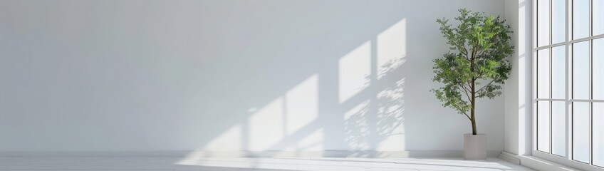 Excellent quality white room with window. rendering in three dimensions. - obrazy, fototapety, plakaty