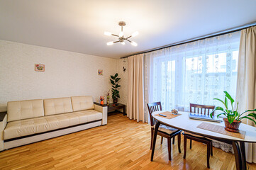 standard interior apartment. living room with sofa