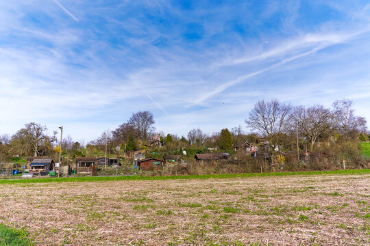 Scenic view of rural landscape with garden plot in the background at Swiss City of Zürich on a sunny spring afternoon. Photo taken March 20th, 2024, Zurich, Switzerland.